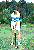 golfside.avi (358kb)