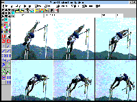 VIS Analyze (pole vault)